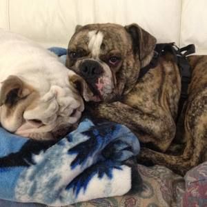 Meet your Posher, Diane